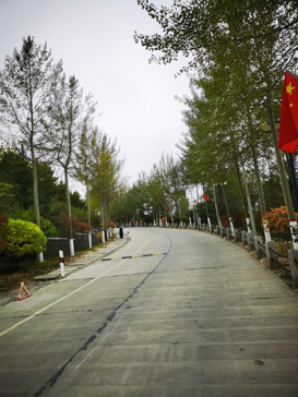 入秋后的西山植物园