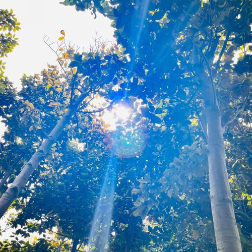 心情随笔（失落）